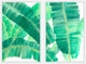 La Habana Diptych, 40x30