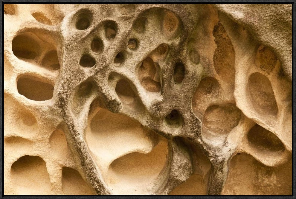 Cavernous Weathering In Sandstone Rock, Sydney, Australia, 30"x20"