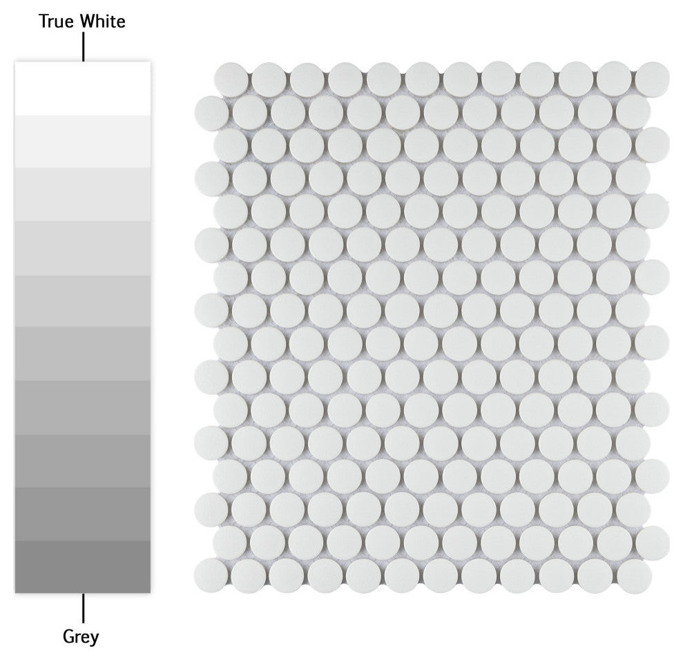 Gotham Penny Round Porcelain Mosaic Sample