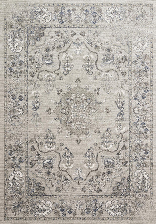 Dove/Gray Joaquin Rug, 2'7"x8'0"