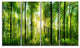 "Forest With Rays of Sun" Panorama Landscape Canvas Print, 4 Panels, 48"x28"