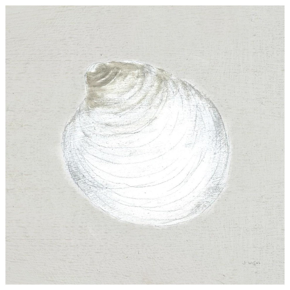 "Serene Shells II Tan" Digital Paper Print by James Wiens, 38"x38"