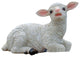 Sitting Yorkshire Lamb