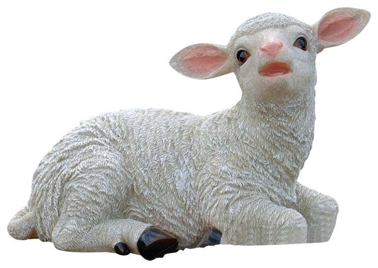 Sitting Yorkshire Lamb