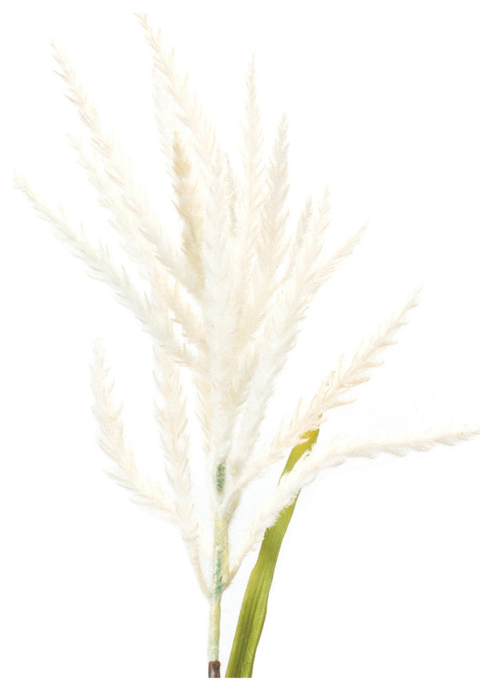 Astilbe Stem, Set of 6