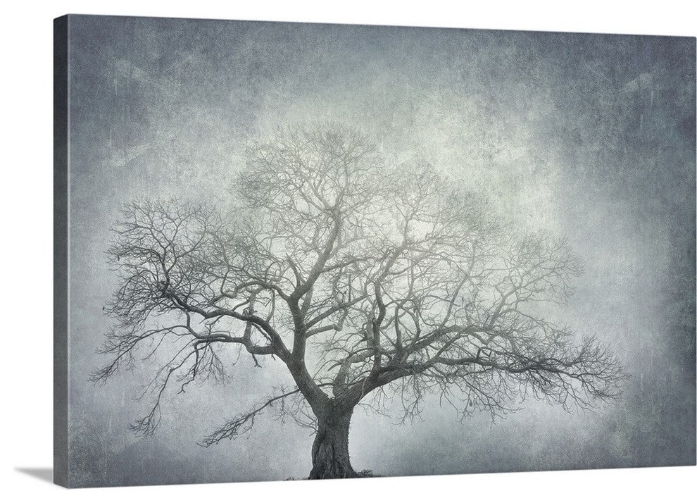 "textured nature" Wrapped Canvas Art Print, 24"x16"x1.5"
