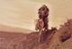 Taos Warrior- Canvas Poster 20" x 30"