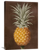 "Pineapple" Artwork, 20" x 30"