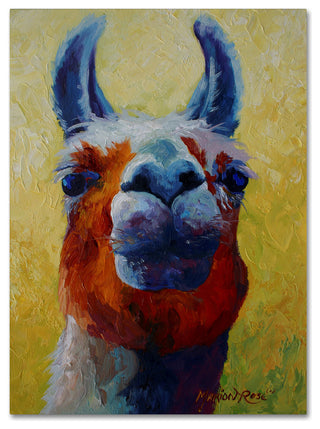 Marion Rose 'Llama I' Canvas Art, 47 x 35