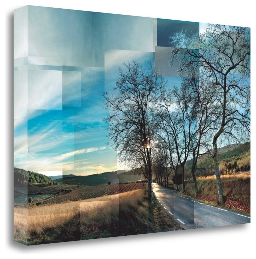 "Penedes VIneyards" By Pep Ventosa, Giclee Print on Gallery Wrap Canvas