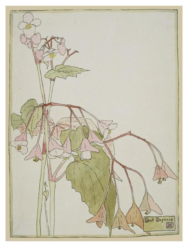 "Beef Begonia" Digital Paper Print by Hannah Borger Overbeck, 14"x18"