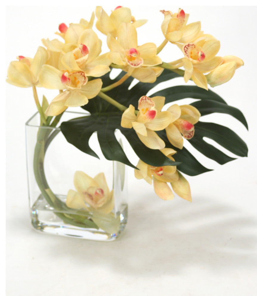 WaterlookÂ® Champagne-Burgundy Cymbidium Orchids with Split Philo Leaf