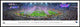 2017 Patriots Super Bowl XLIX Panoramic Poster Print