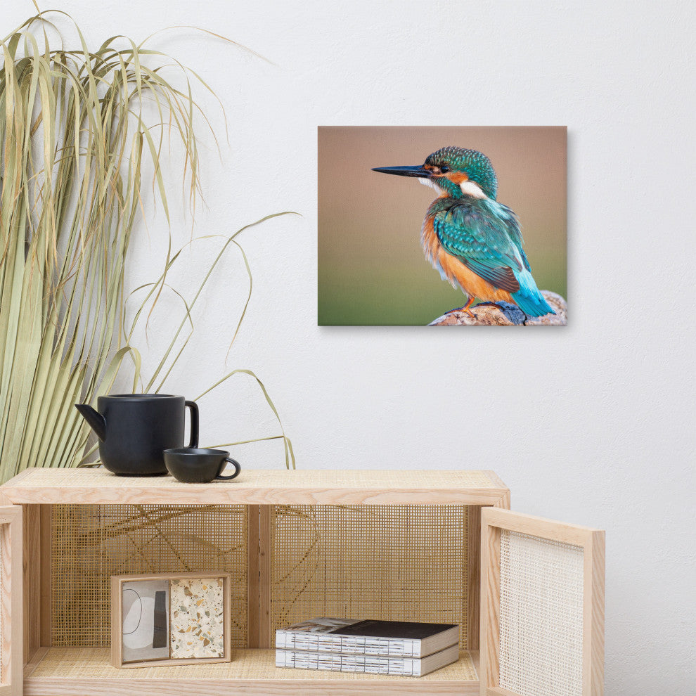 Common Kingfisher Bird on Perch Animal Wildlife Photograph Canvas Wall Art Print, 16" X 20"