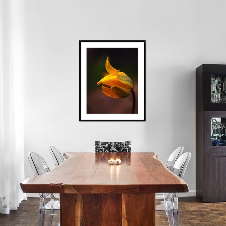 "Shine" Framed Digital Print by Kent Mathiesen, 36x44"