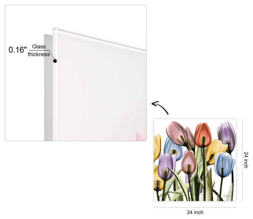 Tulip Scape X-Ray II Flower Wall Art on Frameless Free Floating Tempered Glass