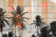 "Bahia" Wall Art on Wood, 60"x40"