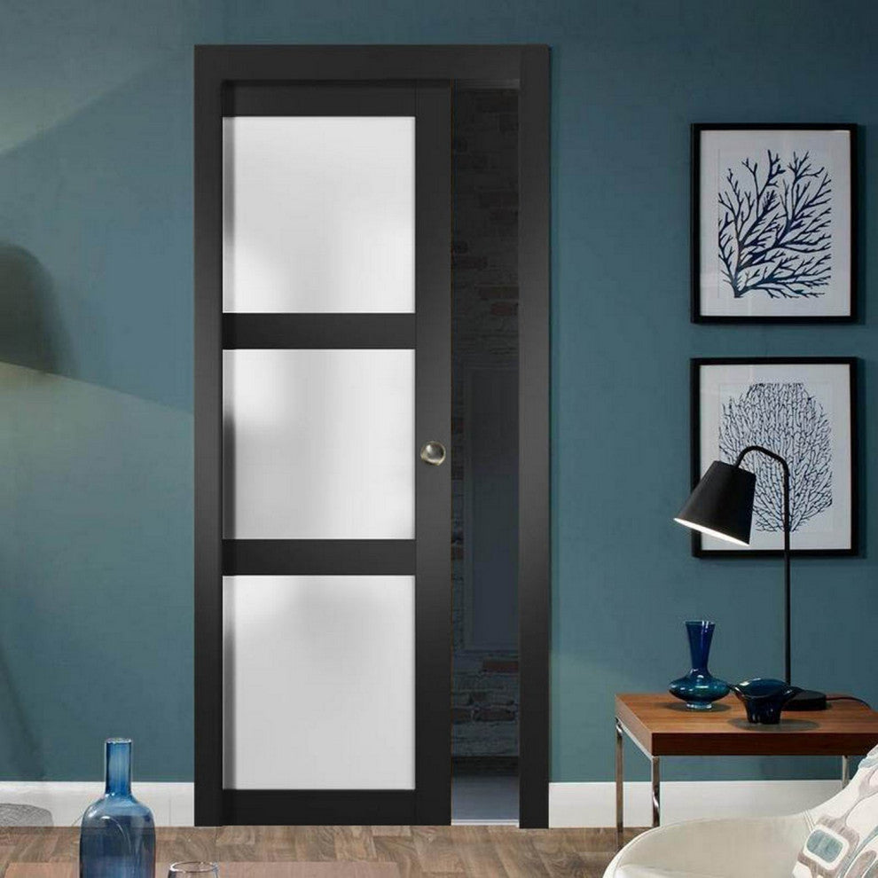 French Pocket Door 36 x 84 Frosted Glass, Lucia 2552 Matte Black
