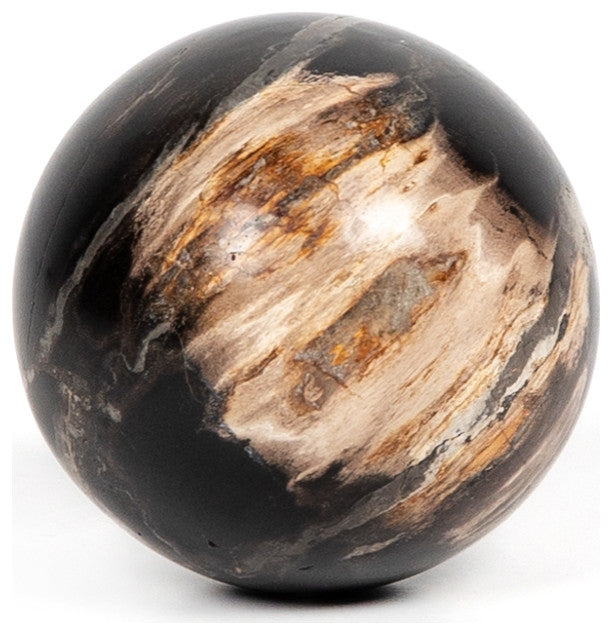 Petrified Wood Balls, Set 3-Dark