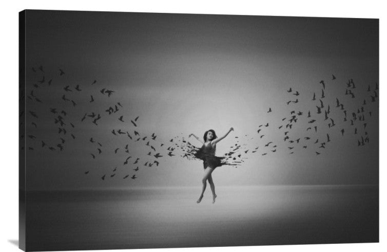 "Ballerina Flight Of Birds" Stretched Canvas Giclee by Mark Biwit, 30"x20"