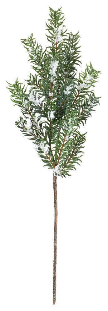 Snow Pine Spray, Set of 6