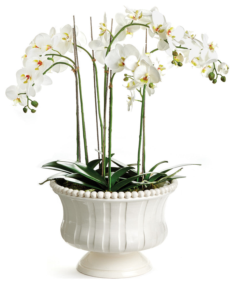 Coletta Footed Bowl