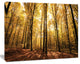 Setting Sun over Dense Fall Forest, Modern Forest Canvas Art, 40"x30"