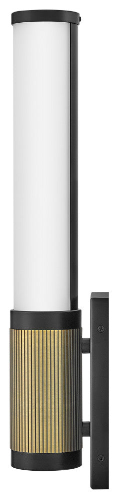 Hinkley Zevi Medium Led Vanity, Black