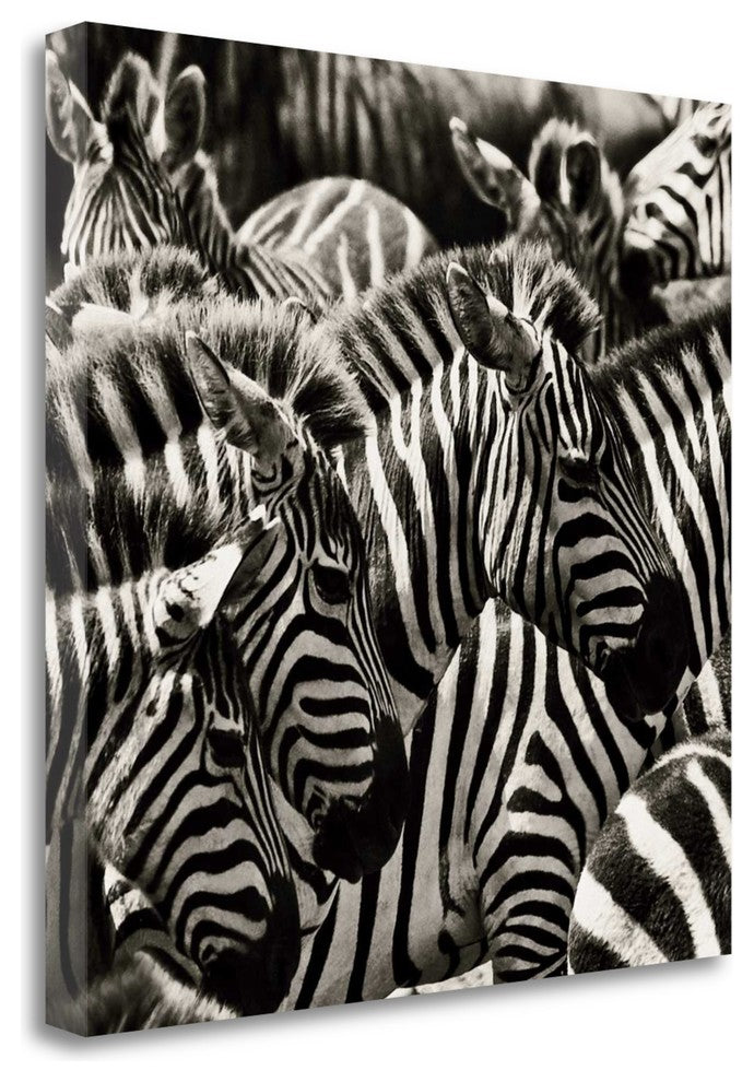 "Camouflage II" By Susann Parker, Giclee Print on Gallery Wrap Canvas