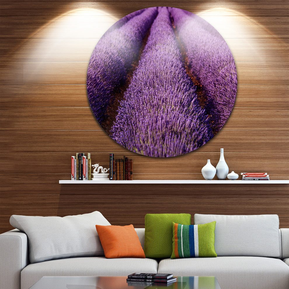 Endless Rows Of Lavender Field, Landscape Disc Metal Artwork, 23"