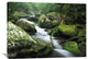 "Roaring Fork River, Great Smoky Mountains National Park, Tennessee" Artwork