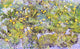 Vincent Van Gogh Field of Yellow Flowers, Gallery Wrapped Canvas, 18"x27"