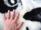 Panda Bear Playmat Rug, 56"x79"