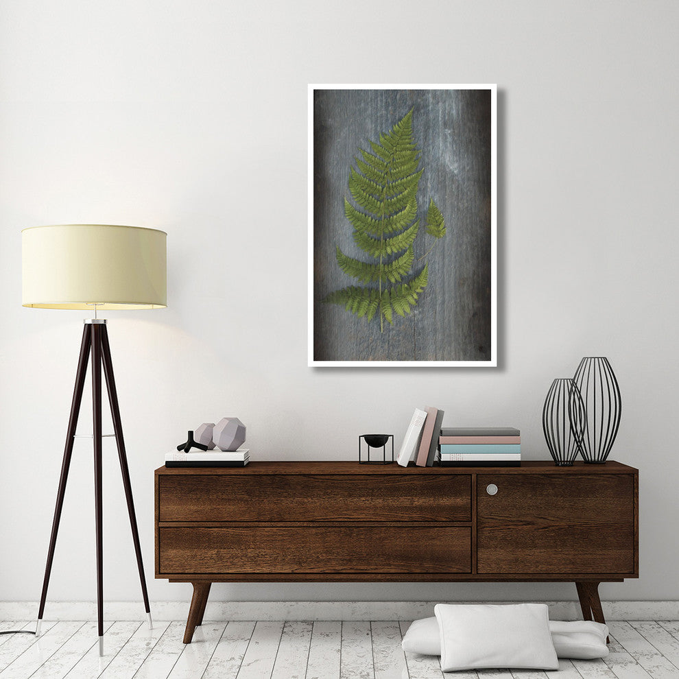 "Woodland Fern V" Digital Paper Print by Sue Schlabach, 34"x50"