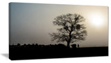 "Frosty Spring Morning Sunrise With Tree" Landscape Wall Artwork