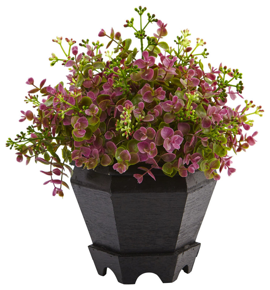 13" Sedum and Eucalyptus Plant With Planter