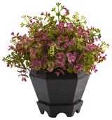 13" Sedum and Eucalyptus Plant With Planter