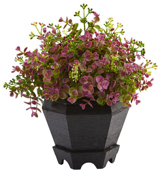 13" Sedum and Eucalyptus Plant With Planter