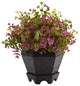 13" Sedum and Eucalyptus Plant With Planter