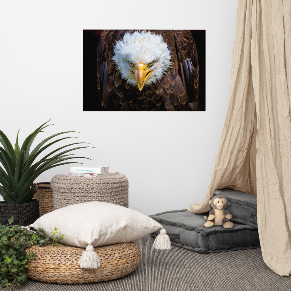 Bald Eagle Portrait Close-up Loose Wall Art Print, 24" X 36"