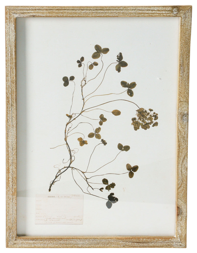 Wood Framed Wall Decor with Botanicals, 6 Styles