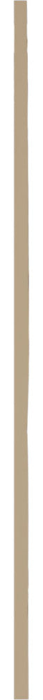 Rustic Two Equal Panel Flat Panel Pecky Cypress Faux Wood Shutters (Per Pair)