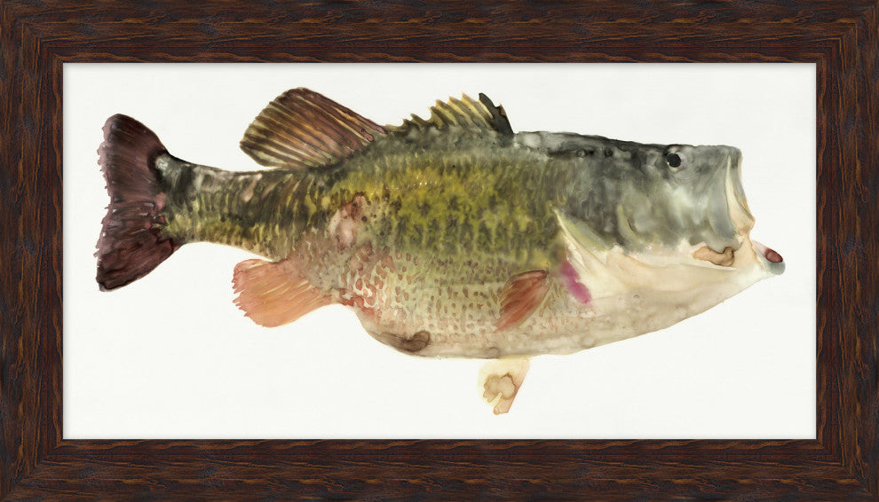 Big Mouth Bass 2, Giclee Reproduction Artwork