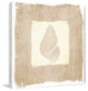 "Shell" Painting Print on Canvas by Irena Orlov