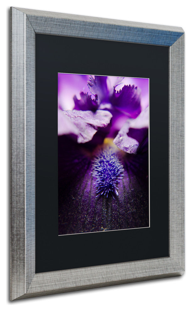 PIPA Fine Art ''Stigma of Iris'' Matted Framed Art, 20x16