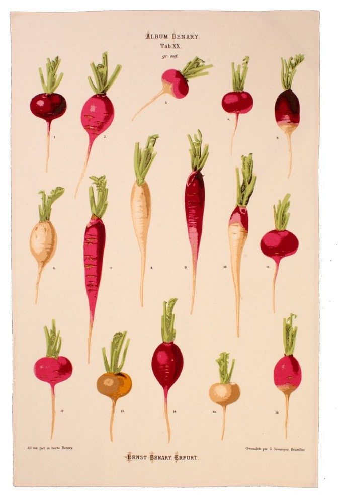 RHS Radishes Cotton Tea Towel