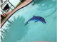 Down Swimming Dolphin Ceramic Swimming Pool Mosaic 36"x23", Grey