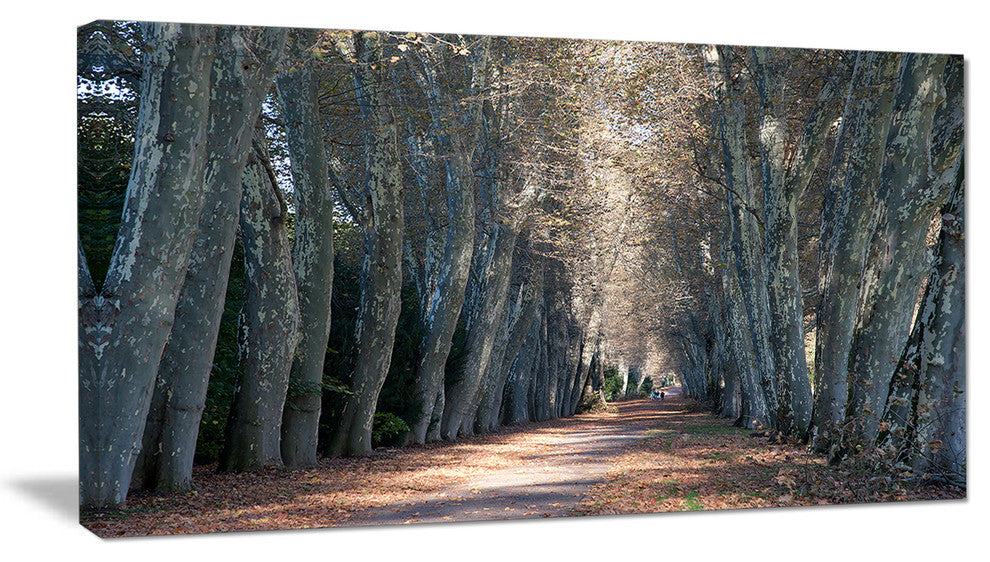 Road in Thick Autumn Woods, Modern Forest Canvas Art, 32"x16"