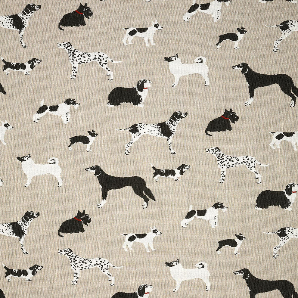 Sunbrella Fusion Fetch Bone Fabric 145414-0001, Fabrics by the Yard