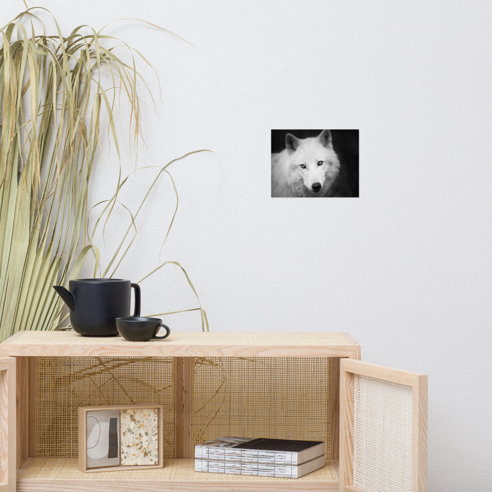 Black and White Portrait of White Wolf In The Forest Loose Wall Art Print, 8" X 10"